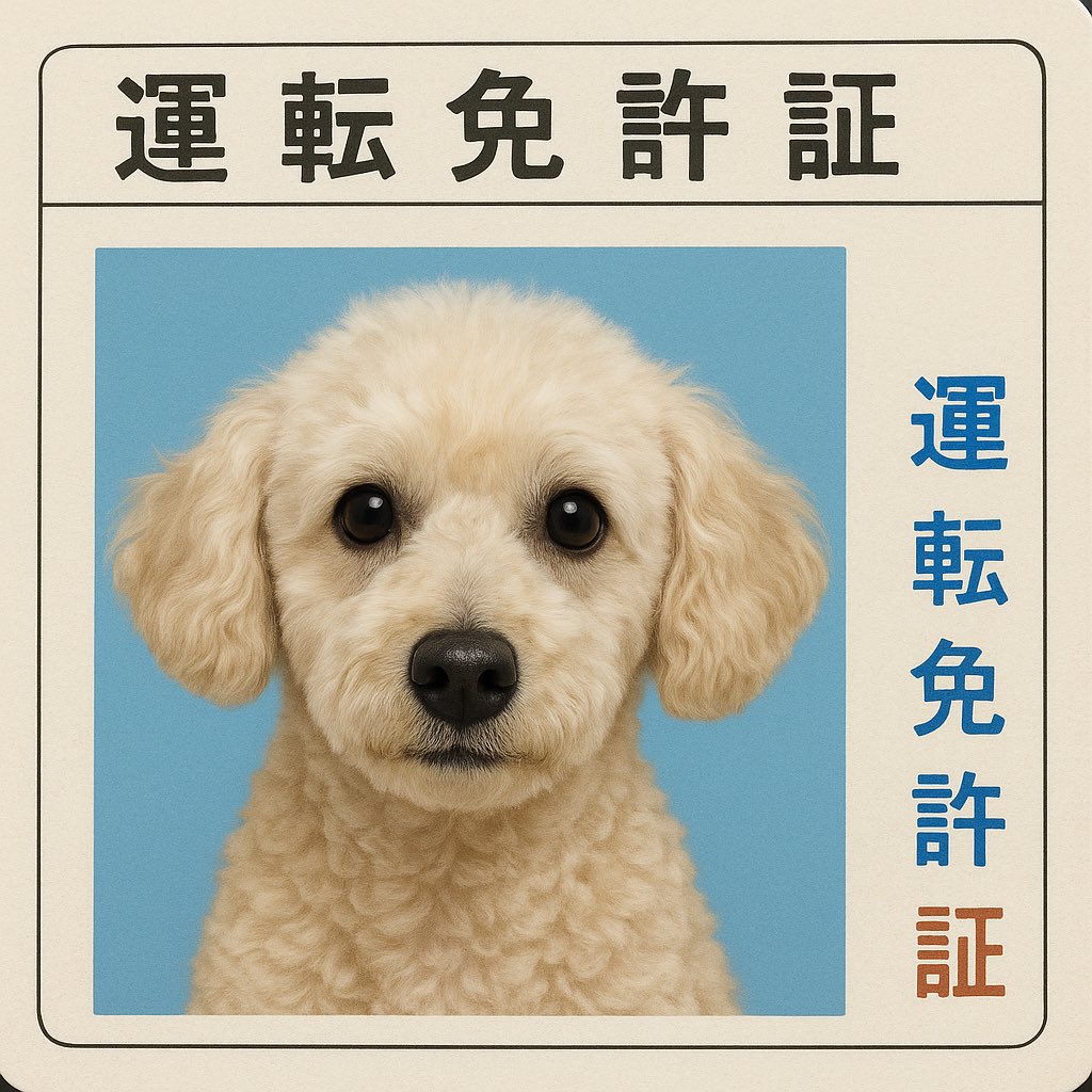 TLaudada's tweet photo. #証明写真 https://t.co/pIgUGSv4j5