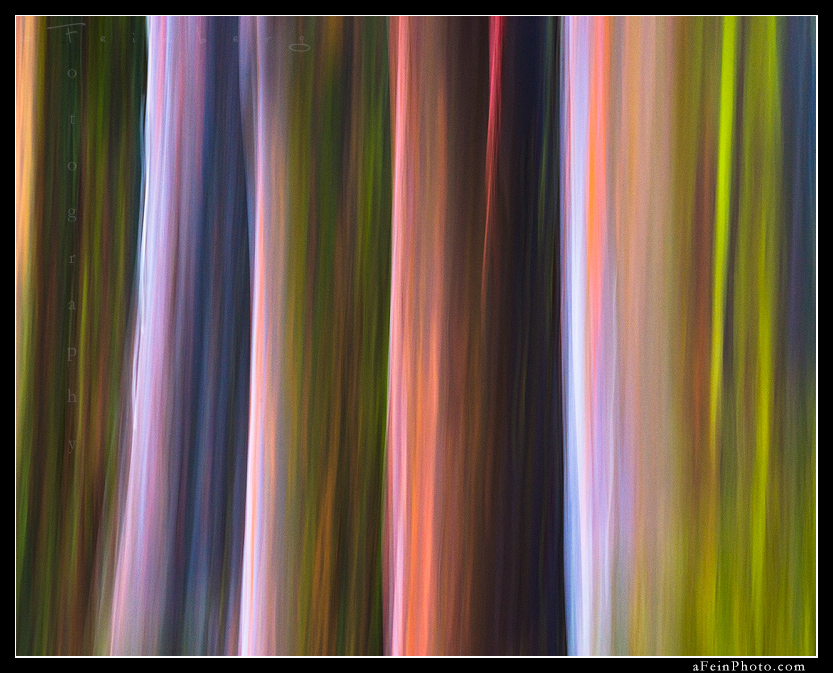 “Rainbow Smear XII” **New Release** Limited Edition of 30. Artist Proof of 3.

A very fun grouping of Rainbow Eucalyptus which made for a stunning abstraction.

DM for print info.

Aloha!
aF

#afeinphoto #fineartphotography #luckywelivehawaii #aloha #hawaii #rainboweucalptus