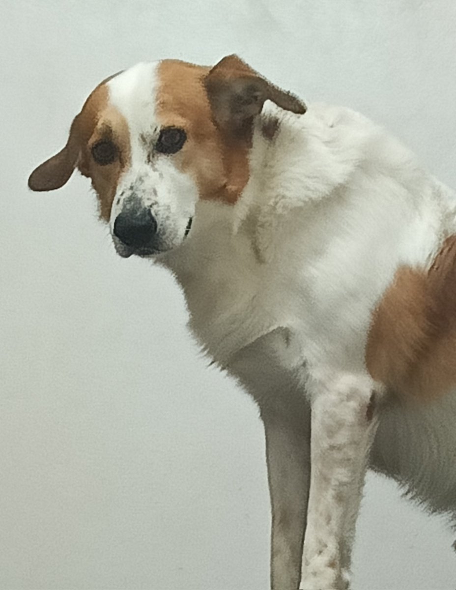 A carinha dele, amo muito.