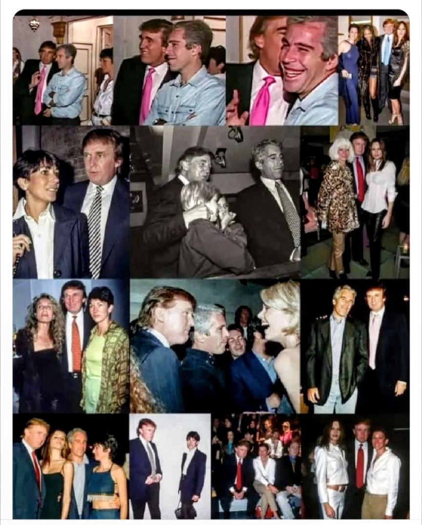 Luigia Calvisi tweet media