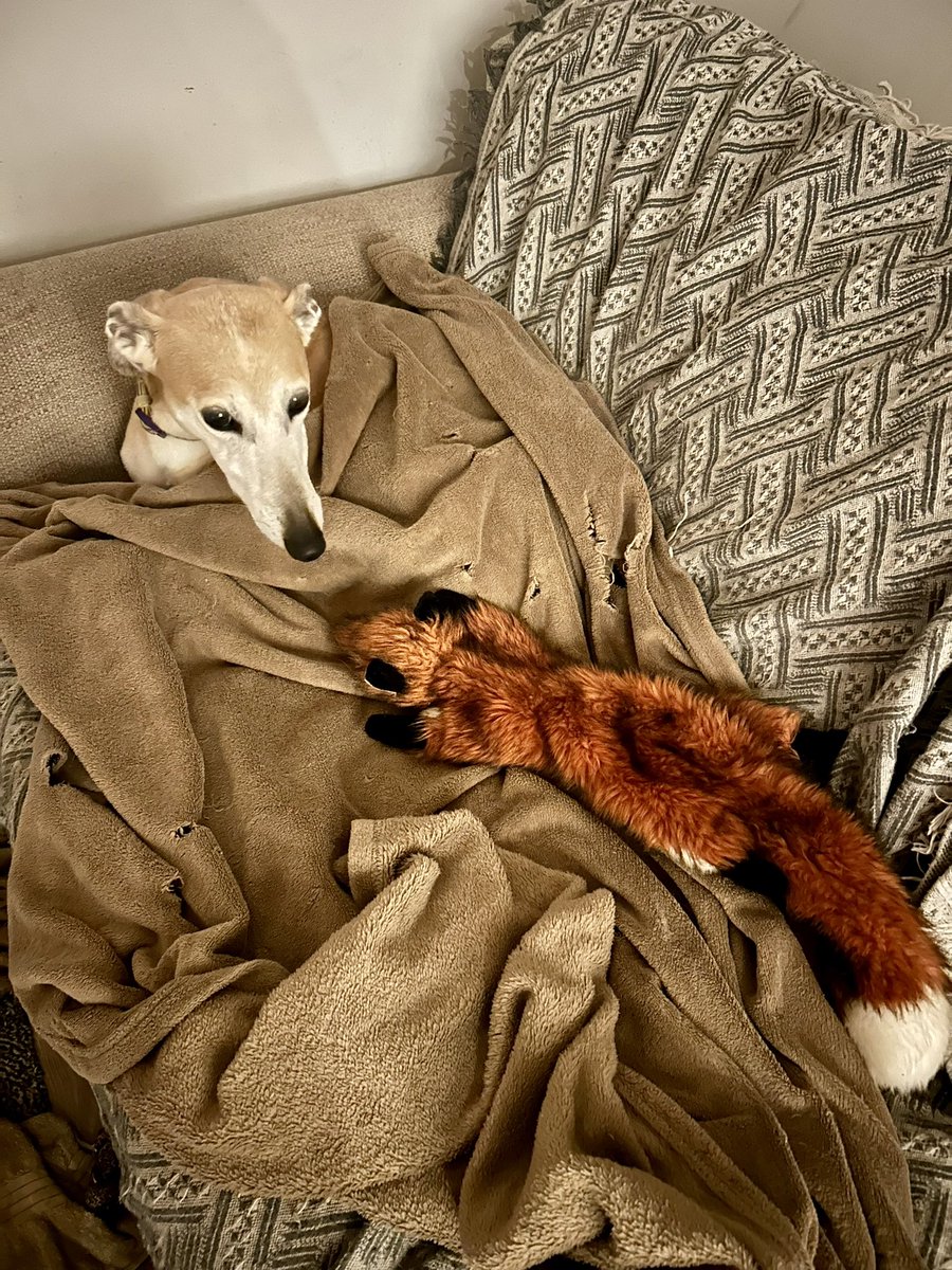 Helen Metcalfe 🩵 ⚽️👩‍⚕️ 🚴 ✝️ tweet media