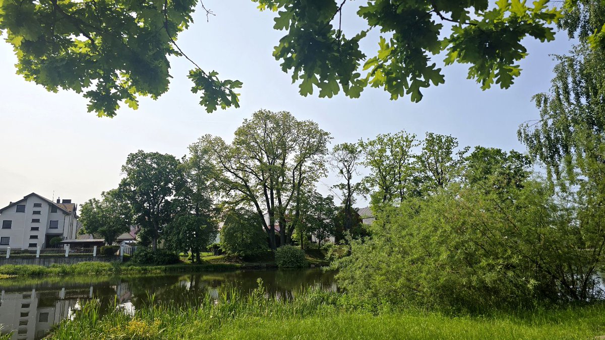 InBestSoil (@inbestsoil1) on Twitter photo 🙌 As part of #GAMeeting for the #Inbestsoil project, we visited Lighthouse 5, an experimental site showcasing the power of managing the best soil.
Here, Technosols are at play, with high soil compaction and artificial conditions that don't always reflect natural environments.🌱 🙌 As part of #GAMeeting for the #Inbestsoil project, we visited Lighthouse 5, an experimental site showcasing the power of managing the best soil.
Here, Technosols are at play, with high soil compaction and artificial conditions that don't always reflect natural environments.🌱