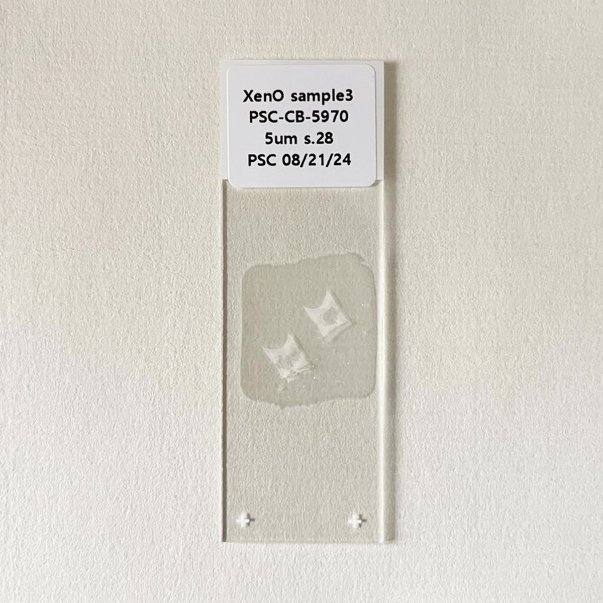 Christian Bok (@christianbok) on Twitter photo 