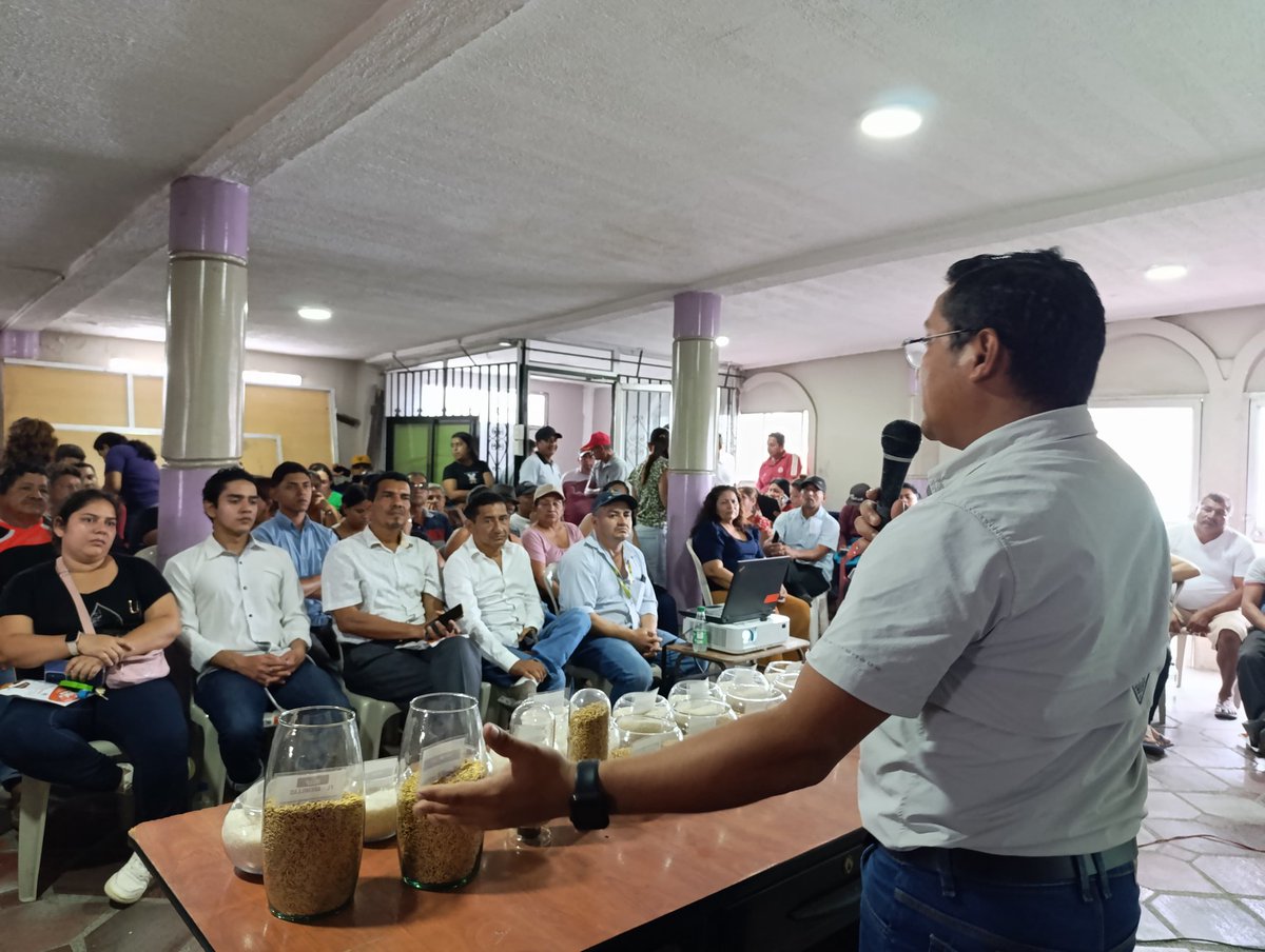 #Guayas | En Nobol junto a <a href="/INIAPECUADOR/">INIAP</a> capacitamos a 150 productores de la comuna "Petrillo" sobre la importancia del uso de semillas certificadas, fortaleciendo sus conocimientos para mejorar la productividad agrícola. 💪🌾