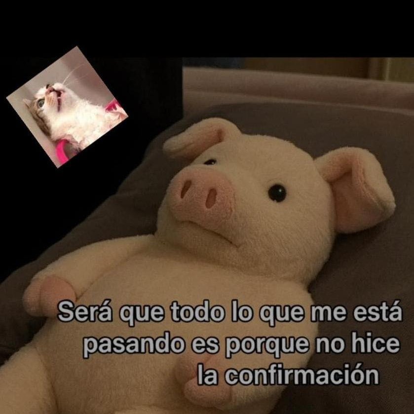 🇲🇽 México Mágico ✨ (@enmexicomagico) on Twitter photo 