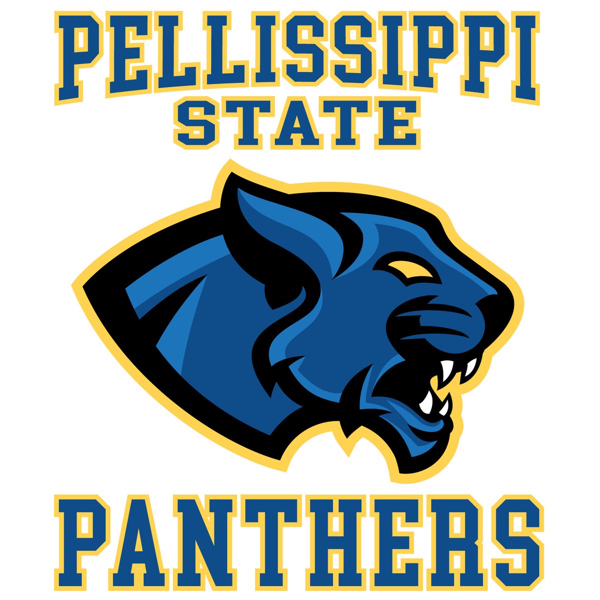 Thank you <a href="/DJonesGD1/">D. jOnEs</a> for the personal camp invite to <a href="/PSCCMBB/">Pellissippi State Men's Basketball</a> Looking forward to competing and learning!