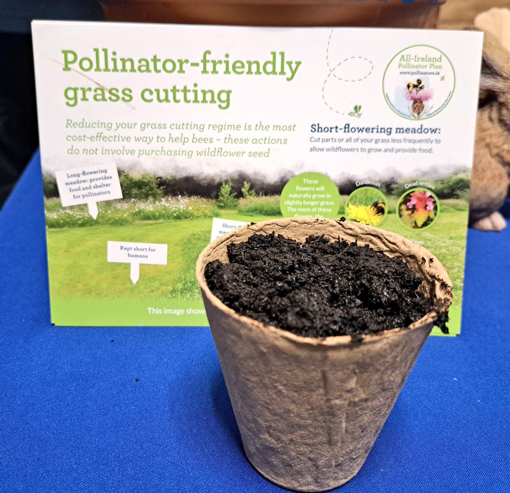 Karen Douglas tweet media