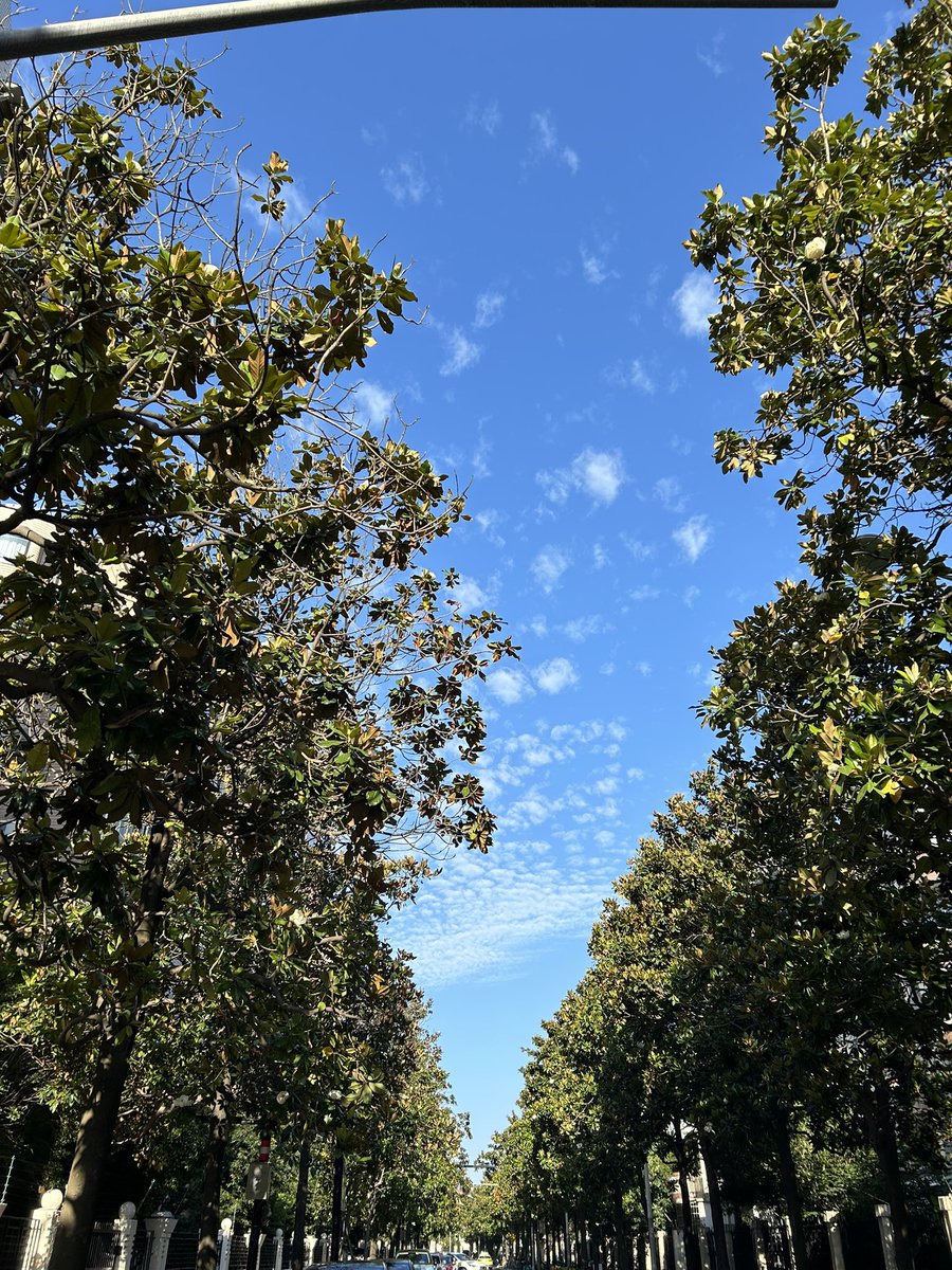 haitai_rumi's tweet photo. いい天気☀️先週日本に一時帰国の後メンタルは変わらずですが体調が良くいい感じです。
リフレッシュは必要ですね！ https://t.co/4GCImcVycd