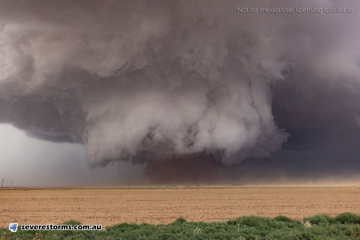 Daniel Shaw (@danielshawau) on Twitter photo This image captured earlier as a dusty tornado moves north of Morton, Texas. Watch live via: youtube.com/@DanielShawAU/… <a href="/NWSLubbock/">NWS Lubbock</a> #txwx #nmwx This image captured earlier as a dusty tornado moves north of Morton, Texas. Watch live via: youtube.com/@DanielShawAU/… <a href="/NWSLubbock/">NWS Lubbock</a> #txwx #nmwx