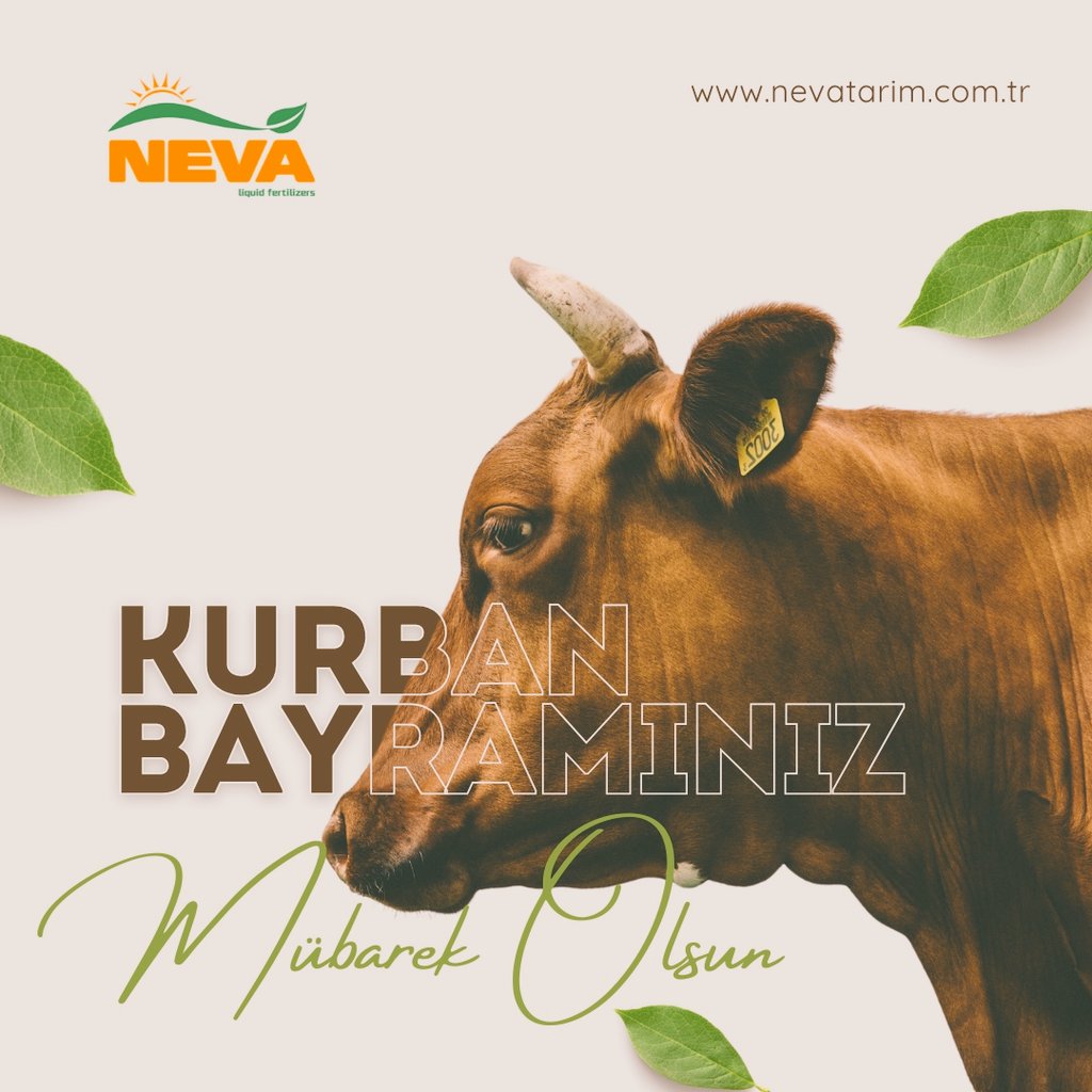 Tüm islam âleminin kurban bayramı mübarek olsun.