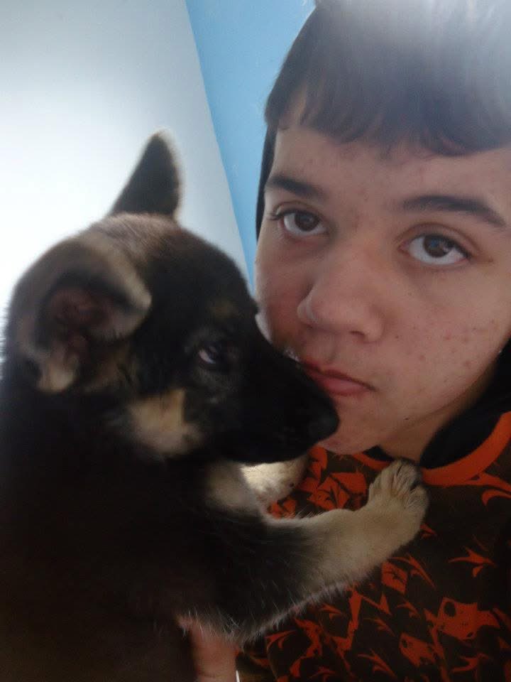 milhitox's tweet photo. hoje me despeço de ti, que apenas alegria trouxe na minha vida, descanse em paz meu amor! 🖤🌹 https://t.co/5AZEVugGR8