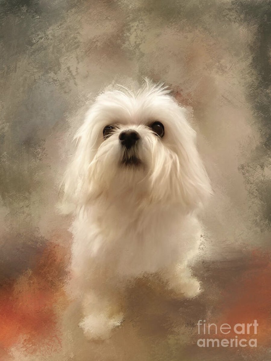 LoisBryanPhotog's tweet image. Check out this new digital art that I uploaded to lois-bryan.pixels.com! lois-bryan.pixels.com/featured/alway…  #art #giftideas #maltese #maltesedog #dogs #pets #cute #digitallyhandpainted #notai #LoisBryan #CorelPainter