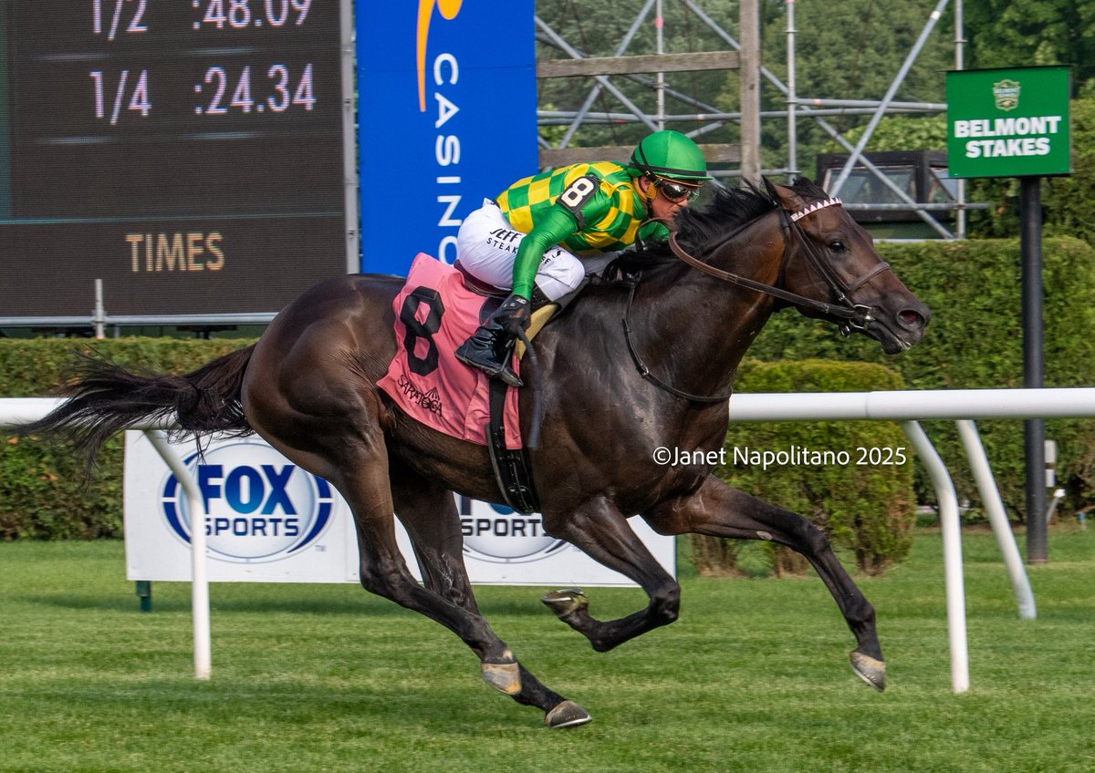 Janet Napolitano (@jmg27_janet) on Twitter photo DONEGAL MOMENTUM with <a href="/jjcjockey/">Javier Castellano</a> up in the Gr3 Poker Stake for <a href="/morley_racing/">Tom Morley</a> & <a href="/DonegalRacing/">Donegal Racing</a> DONEGAL MOMENTUM with <a href="/jjcjockey/">Javier Castellano</a> up in the Gr3 Poker Stake for <a href="/morley_racing/">Tom Morley</a> & <a href="/DonegalRacing/">Donegal Racing</a>