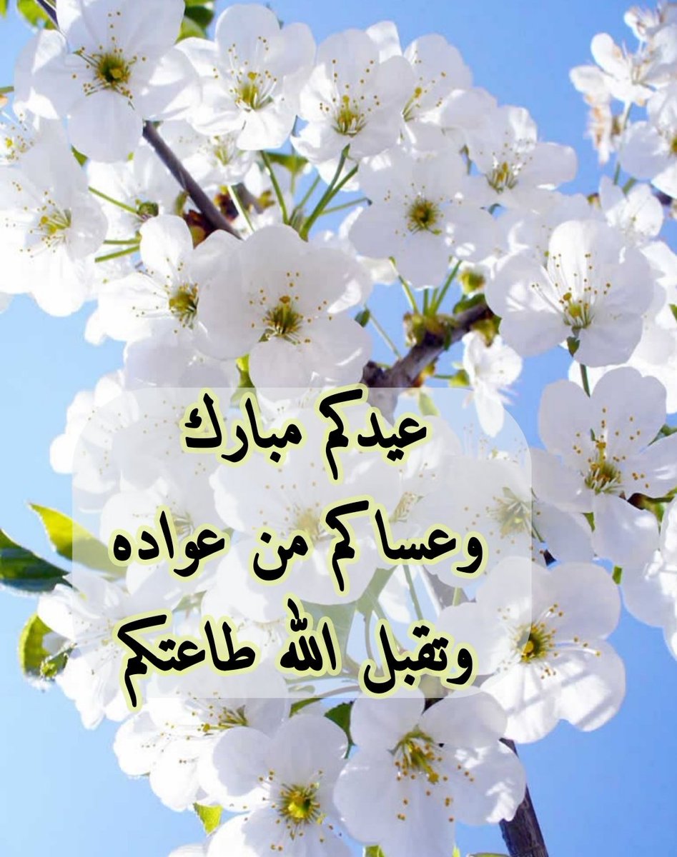 #عيد_الاضحى