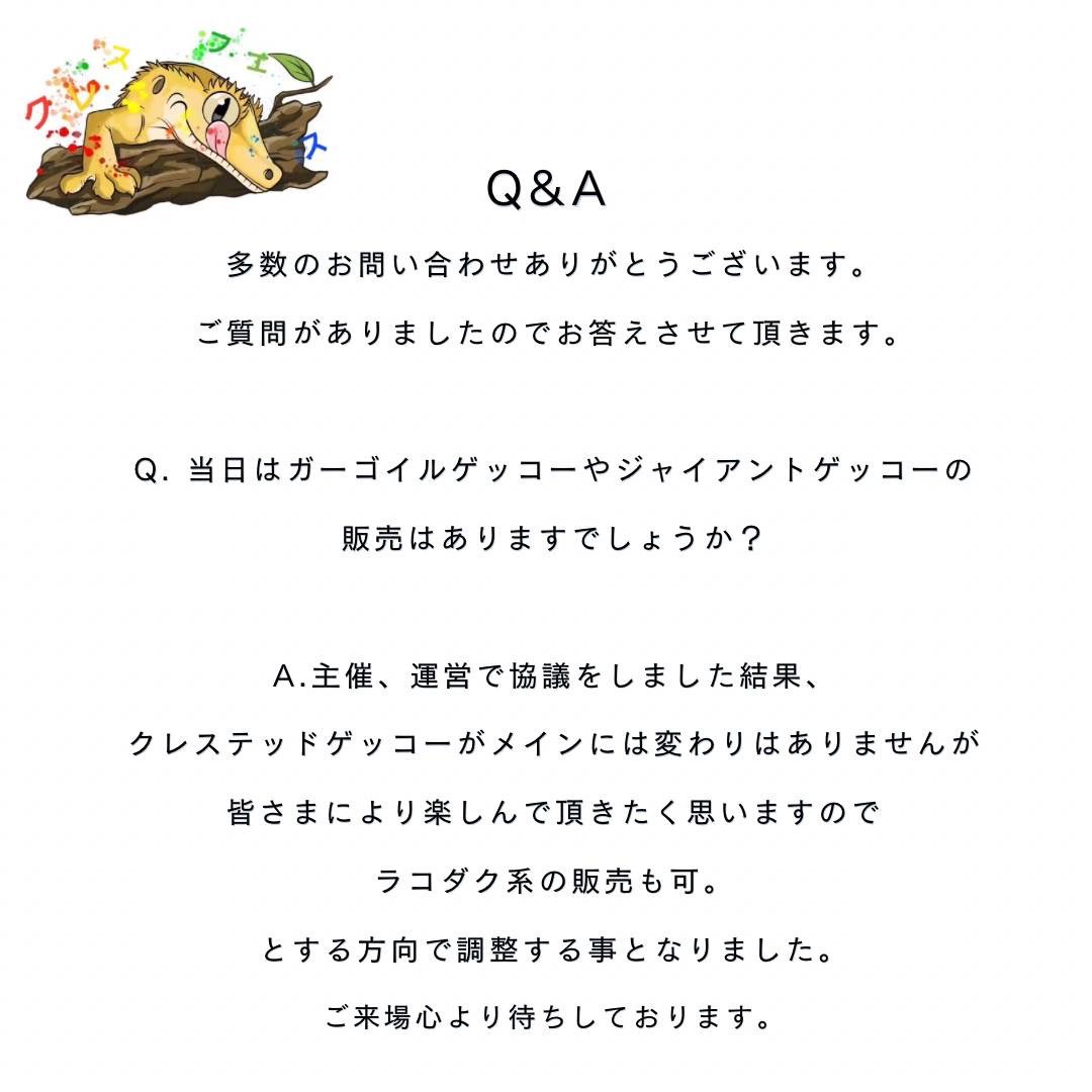 当日は販売のみならずふれあいコーナー等もございますので更なる詳細をお待ちください😆ᩚ🙌🏻

質問等ございましたらご遠慮なくお問い合わせくださいね🦎

#クレステッドゲッコー
#クレスフェス
#爬虫類イベント