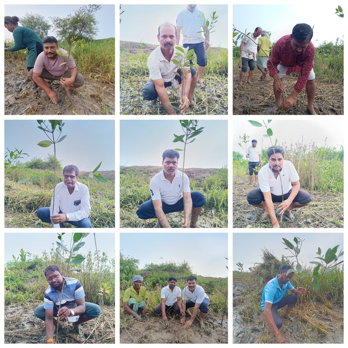 itsBiswajeet's tweet photo. #WorldEnvironmentDay!  community-led mangrove restoration event at Nuagarh Gram Panchyat, Paradip, in collaboration with @SayEarthNgo. Thanks to our  volunteers, Sarapancha Shri Debendra Kumar Rout, and local community members for their dedication to environmental conservation! https://t.co/vgpDAKbr4F