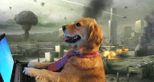 Traders buying back all the $TSLA stock they sold 4 hours ago.