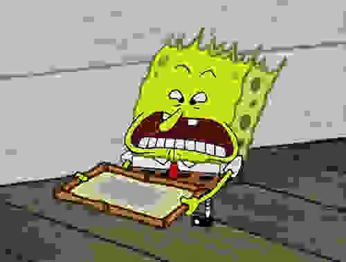 AAAAAAAAAAAAAAAA