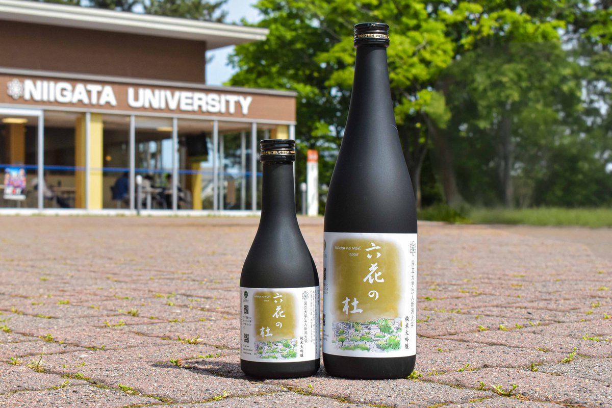 【6/10（火）発売】
大学院生らが醸造に携わった日本酒「六花の杜2025」が発売されます。EXPO 2025 大阪・関西万博でも6/10～13日（予定）で販売します。▶sake.niigata-u.ac.jp/5280/