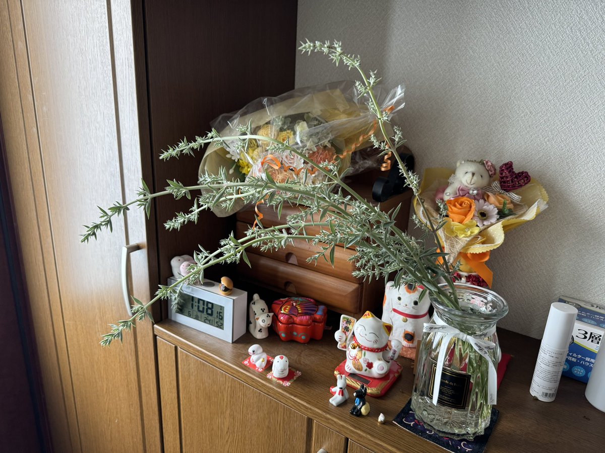 heartscapekyoto's tweet photo. ぼうぼうのホワイトセージは今年も花がついた。収穫！
ローズマリーもさすがに切らないと… https://t.co/kmcvsOIQkT