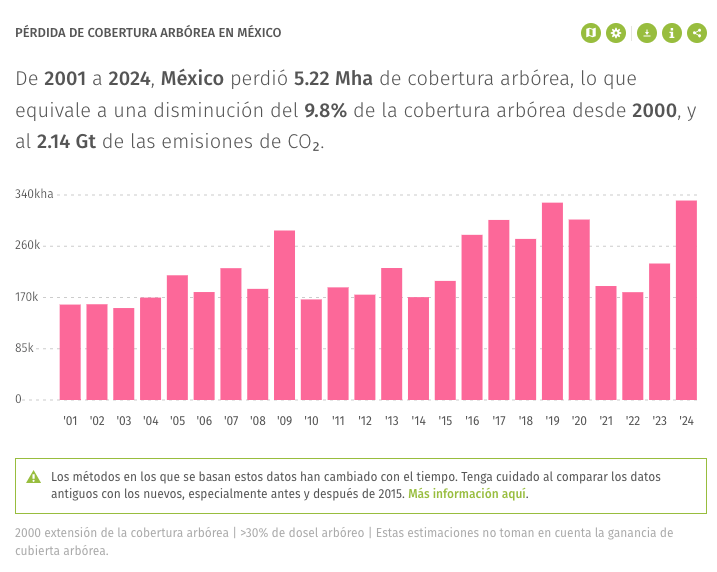 Hoy diferentes gobernadores de México estuvieron posteando sobre el Día Mundial del Medio Ambiente.
Les tengo muy malas noticias, 2024 fue el año con mayor pérdida de cobertura arbórea y pérdida de bosque primario húmedo.
¡Carajo! No hay hay nada que celebrar.
Datos de GFW
👇👇