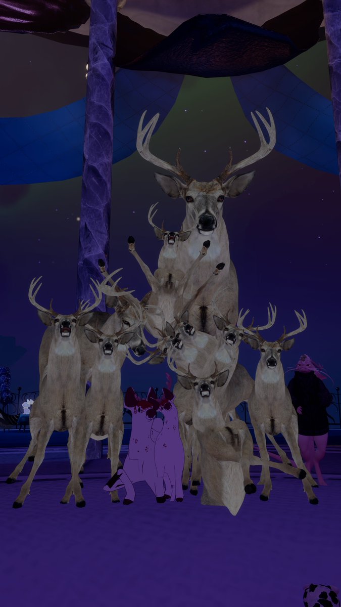 Hooves and antlers meet