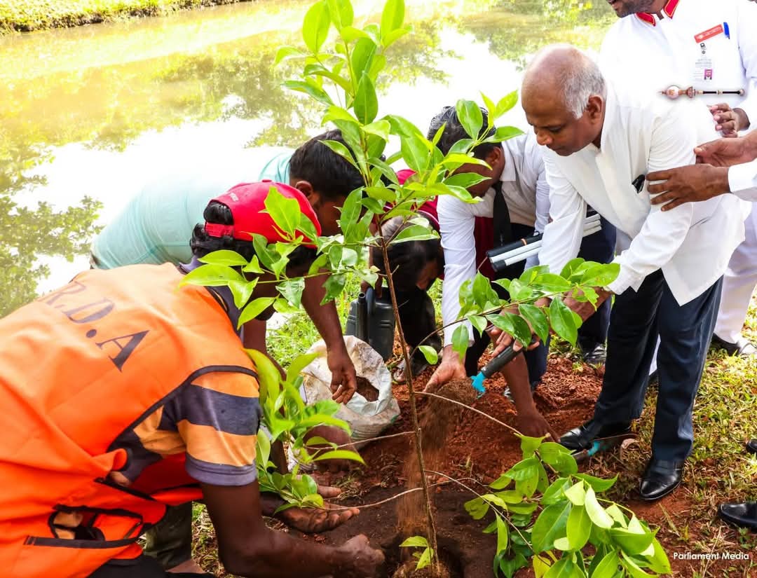 Attended the tree planting program organized by the Parliament of Sri Lanka in celebration of the World Environment Day 2025

Happy to be part of this meaningful initiative, contributing to a greener and healthier future with the planting of medicinal Kohomba saplings