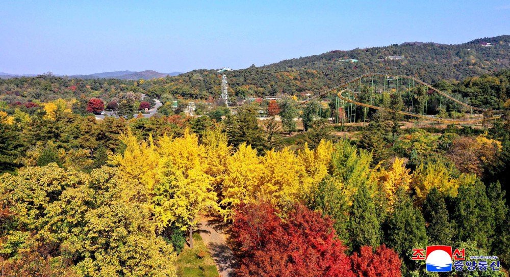 kfaspain.es/2025/06/dia-mu…