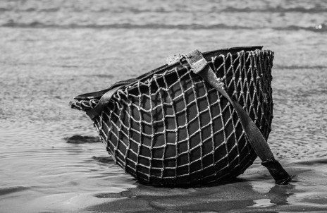 Il y'a des dates que nous n'oublierons jamais... 6 Juin 1944 🕊️🙏🏼