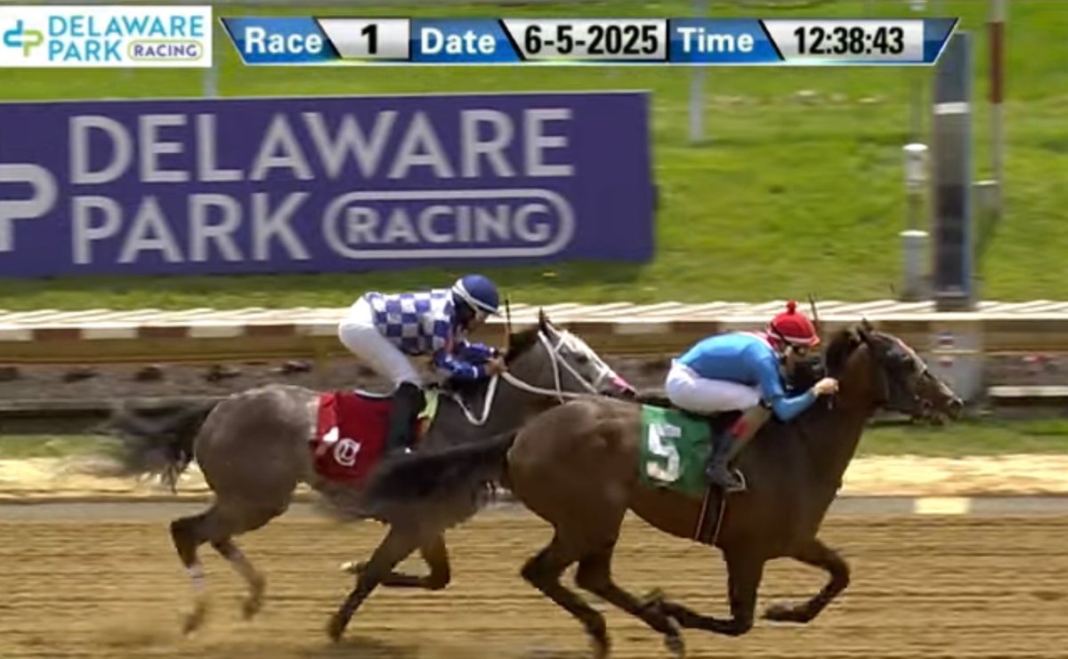 MJM_Stable's tweet image. Muthabir gets us our first win of the meet winning the opener at @DelParkRacing from last to first under a perfect ride from Gabriel Maldonado. Awesome training job by @carrasco_racing with this newly acquired colt. Congrats to all the partners!!