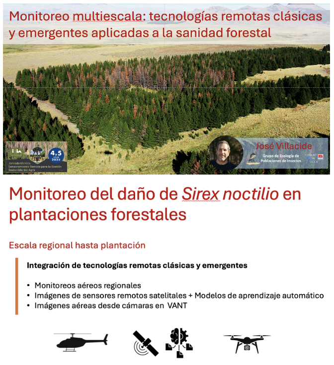 Monitoreo multiescala: tecnologías remotas clásicas y emergentes aplicadas a la sanidad forestal