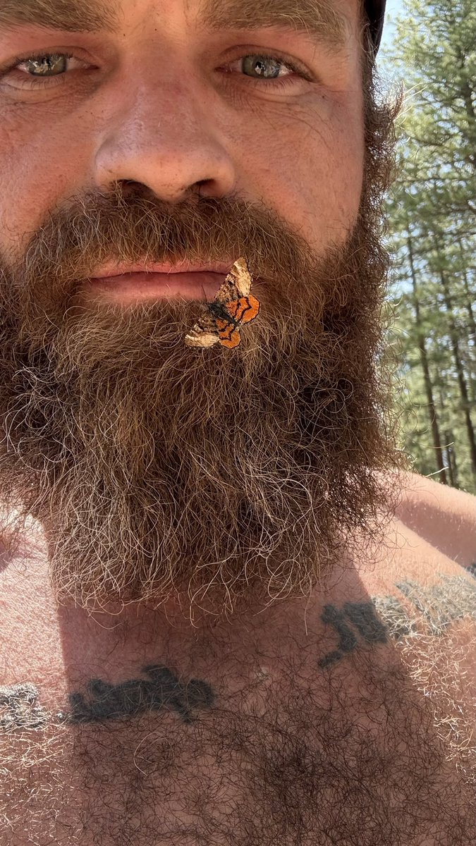 linktr.ee/Beastunlimited…

#nature #wild
#dom #daddy #sub #FolloForFolloBack 
#onlyfan