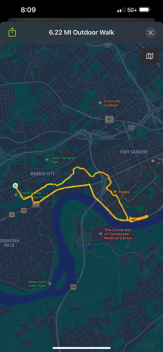 Pumpkin Spice Otter. (@benjiboybb2) on Twitter photo 