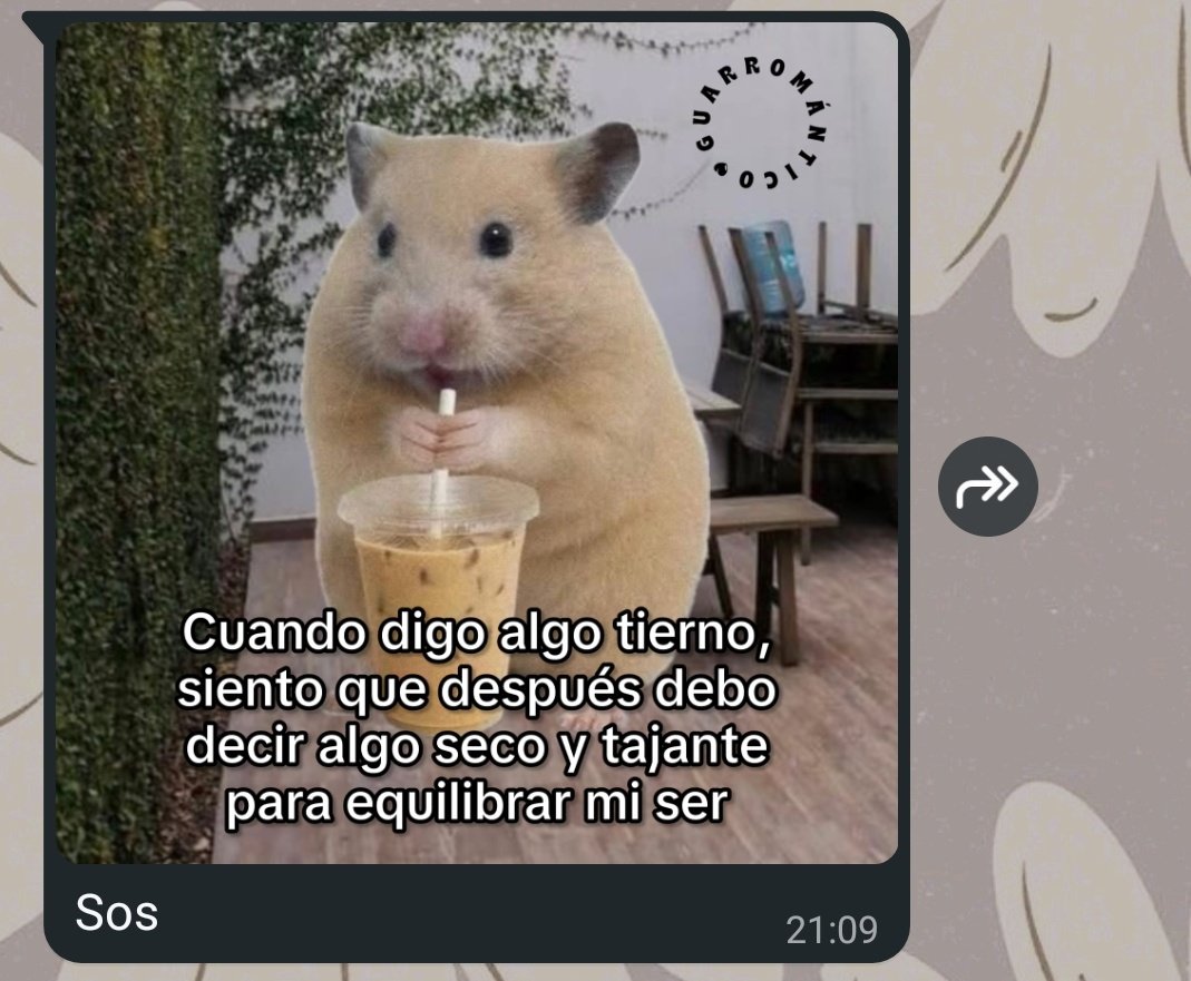 Ustedes saben que si soy