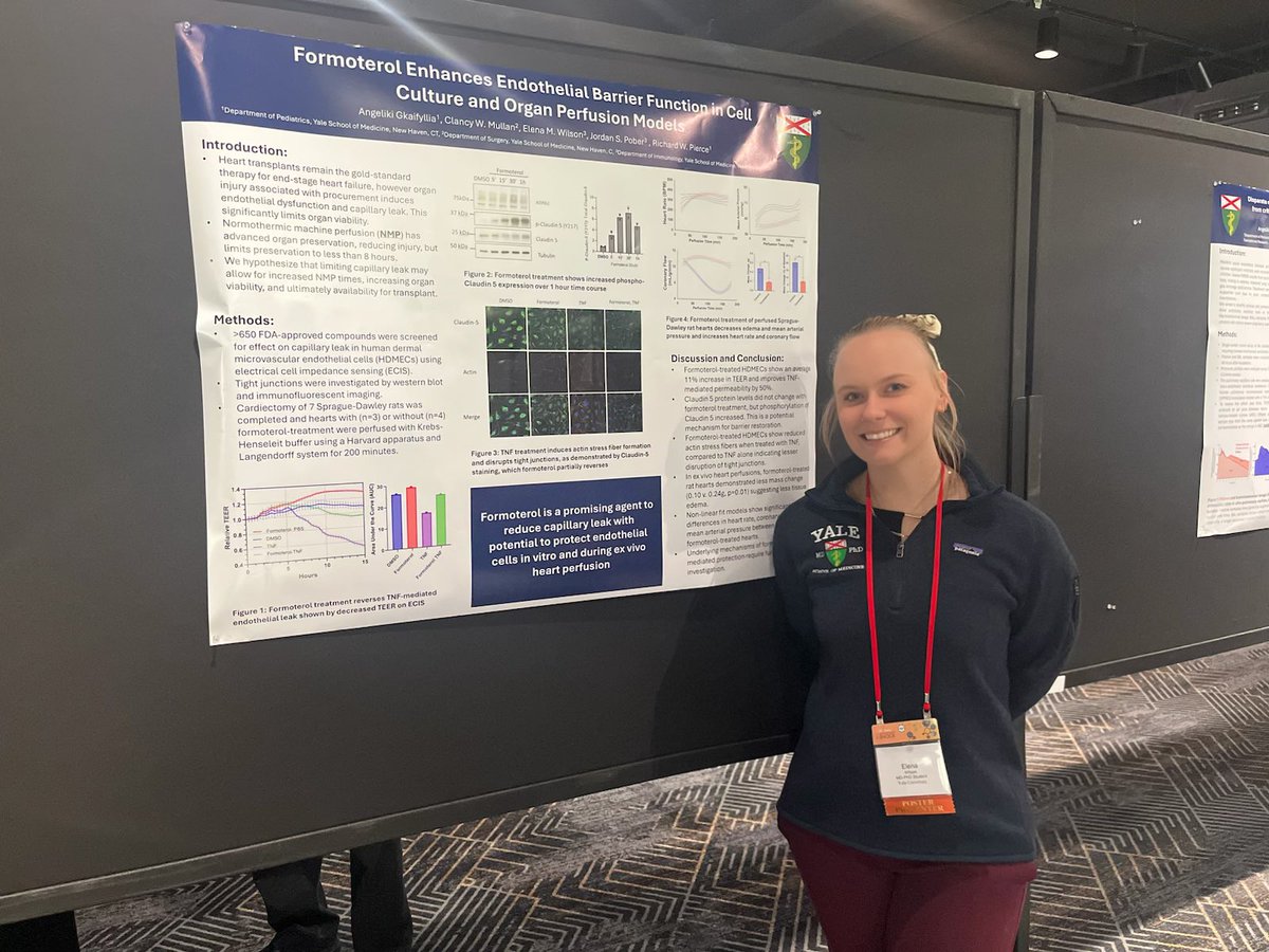 Elena Wilson tweet media