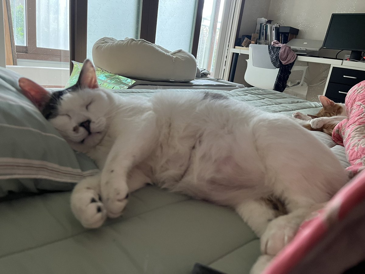 하이고 나라 망하게 생겼는데 넌 참 속도 편하다 이놈아.