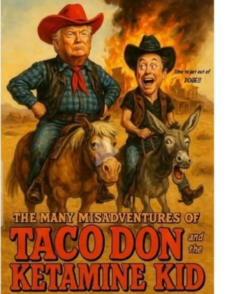 mic_857's tweet photo. @KatiePavlich President Taco is pissed! https://t.co/p8fkjEdagR