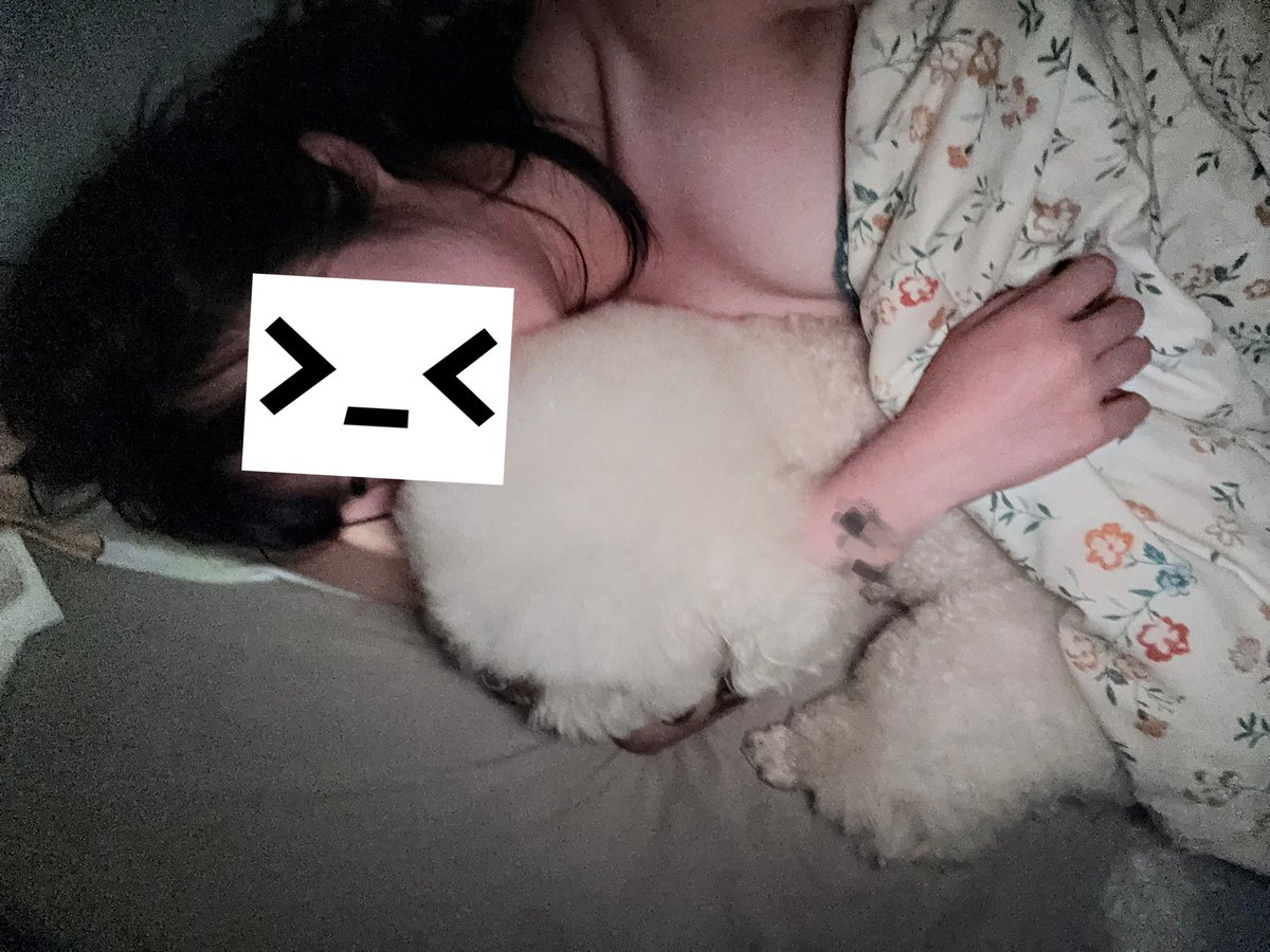 媒体预览