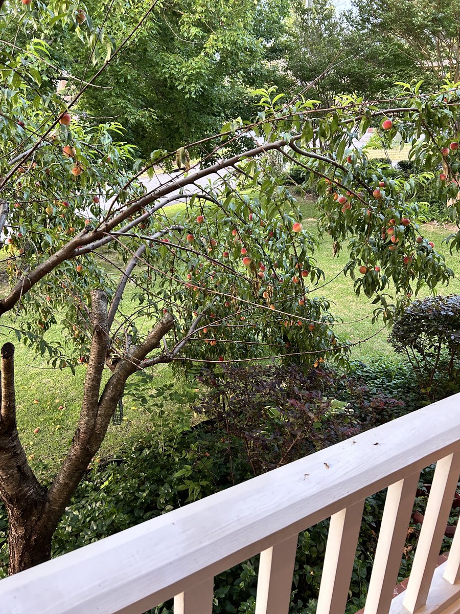 KIP HENLEY tweet media