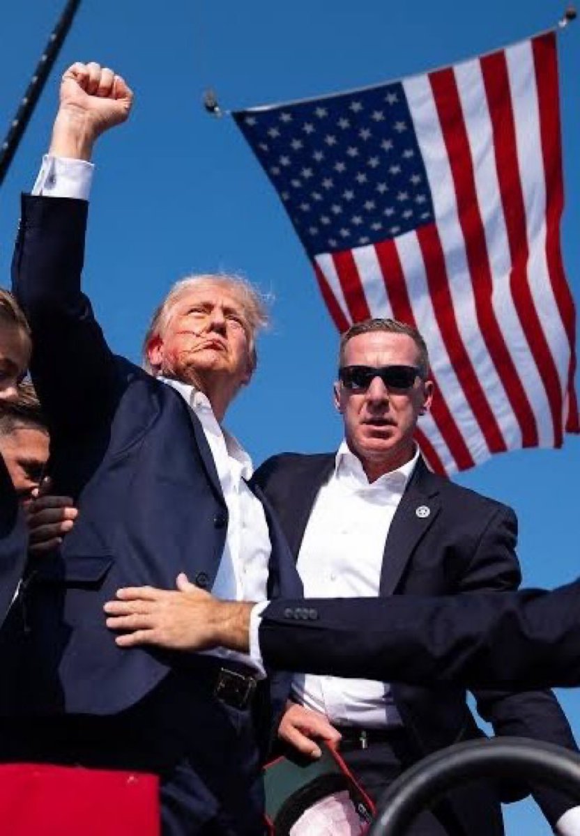 Proud Elephant 🇺🇸🦅 tweet media