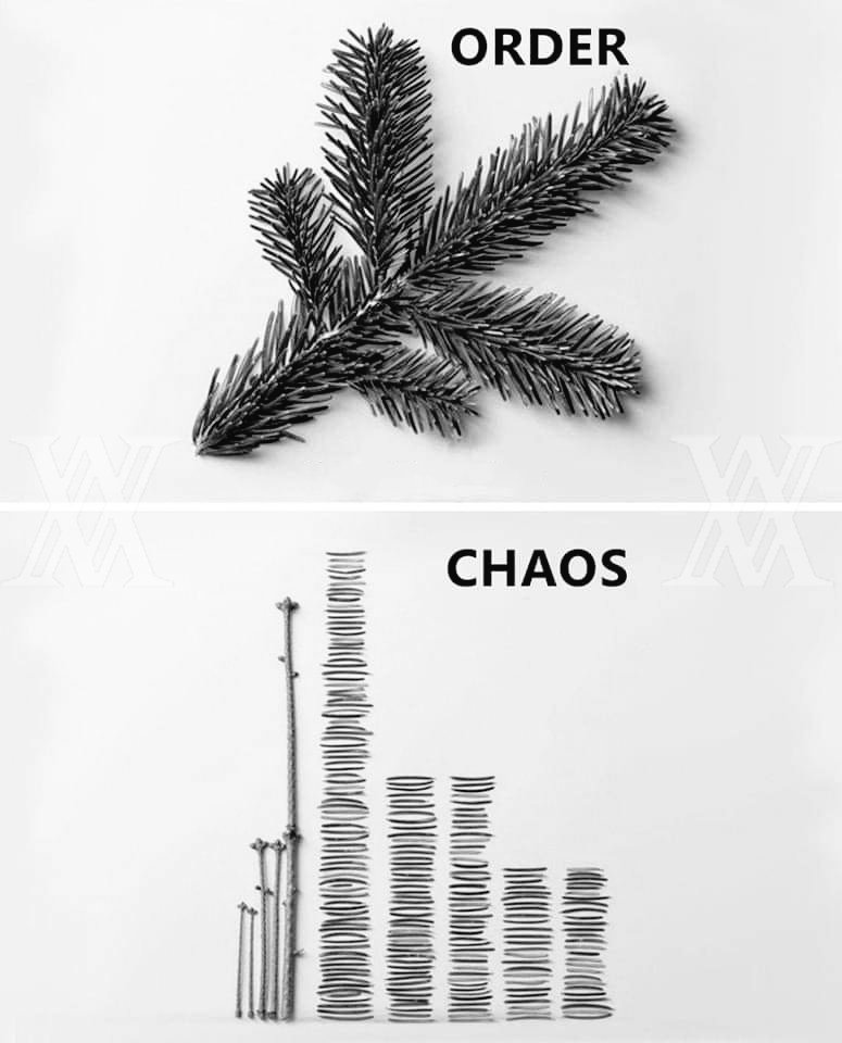 network_visions's tweet photo. chARTs https://t.co/P7r0Y6xwTK