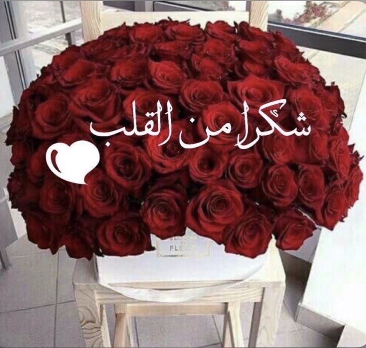 <a href="/mjdylrby141/">‏م̯͡ج̯͡د̯͡ي̯͡♡♡ آ̯͡ل̯͡ح̯͡ر̯͡ب̯͡ي̯͡</a> <a href="/Lara220220/">𝕏 …𝒍𝒂𝒓𝒂</a> <a href="/bo1bob/">حارث الحيدري // مكتفي قروبات 🌹🇾🇪</a> <a href="/ksz1120/">💙 🥈 70 қнαłєđ Ąłzαђгαηί 70</a> <a href="/_n_109/">نــــدووش🎶</a> <a href="/alharabi675/">اموره الحربي ♥️</a> <a href="/hawwaa233/">❀༻حواء</a> <a href="/DenyakDenyay/">DenyakDenya 👱‍♀️</a> <a href="/Hh1_20/">حــ♕ــلوىٰ 𝕏</a> <a href="/33YYL/">‏غنــوجہ ‏</a> <a href="/h___s__vip/">˹♥️öȷɹ̤ᓄĨ</a> <a href="/HiddenSnipper/">࿐📓✒️‏ ‏ مصطفى</a> <a href="/_Gli0_/">‏ ‏﮼مجنون ‏گشخهـℳ غياب قد يطول امده</a> الله يسعدك شكرآ من كل قلبي💐🙏