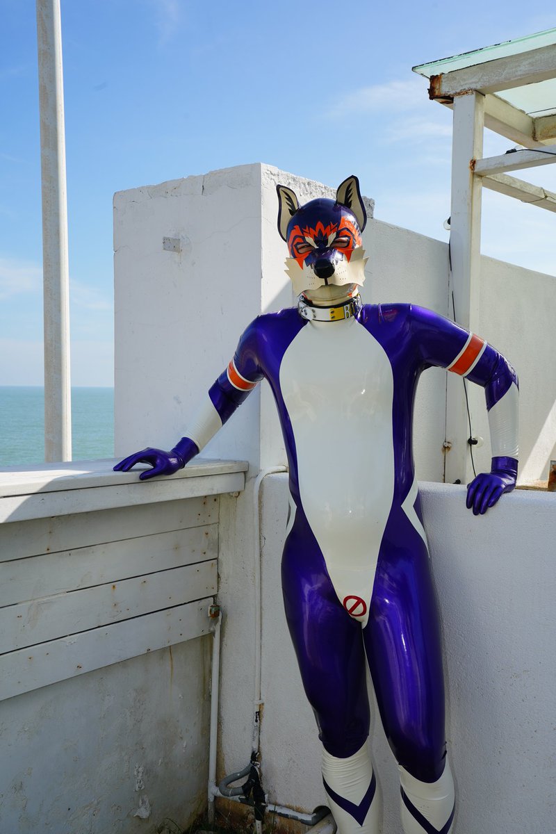 地球online端午更新预告1：
海滩附近限时随机刷新胶狗狗
📷： <a href="/fox_s_hy/">狐琊_Foxy</a>