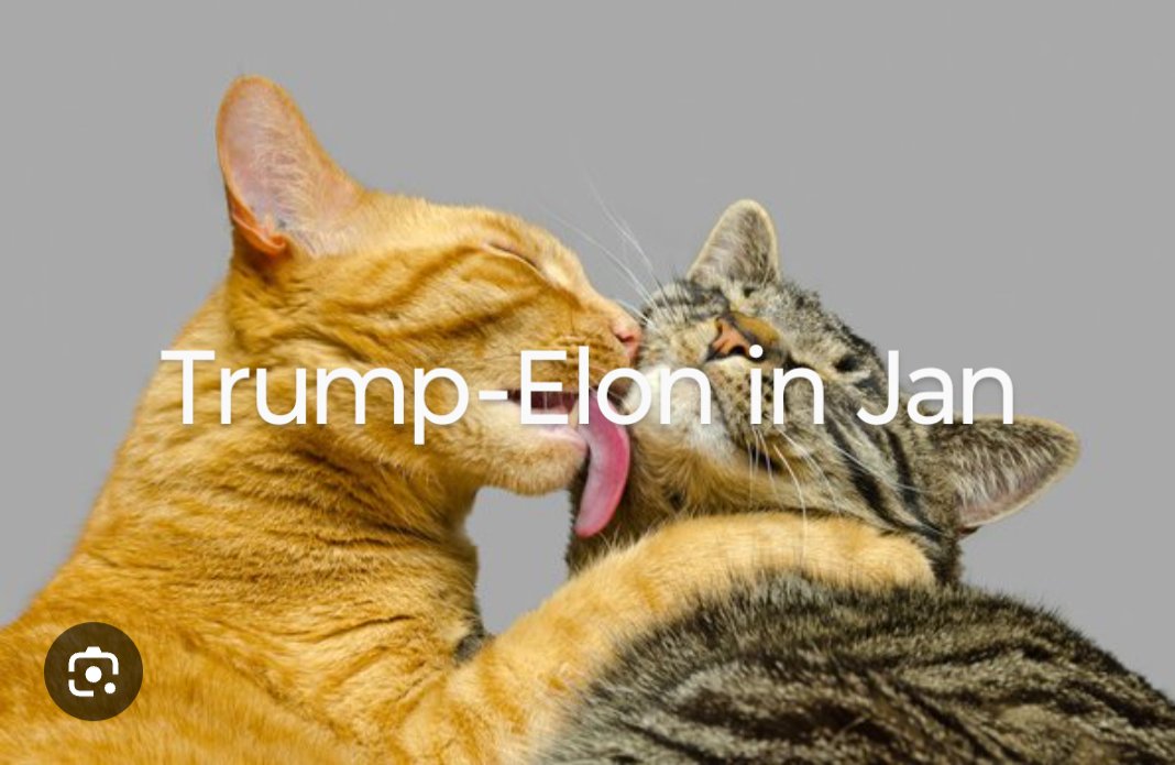 ADDConQueso's tweet photo. @elonmusk https://t.co/oG6AF8AVcI