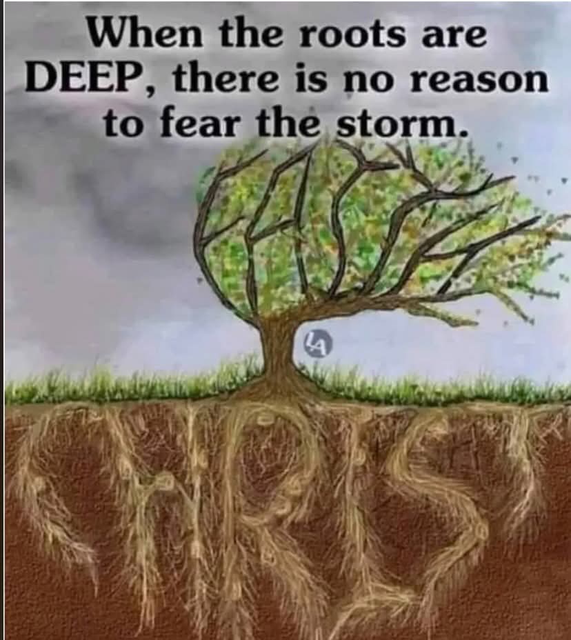 DesClark23tv ✝️ tweet media