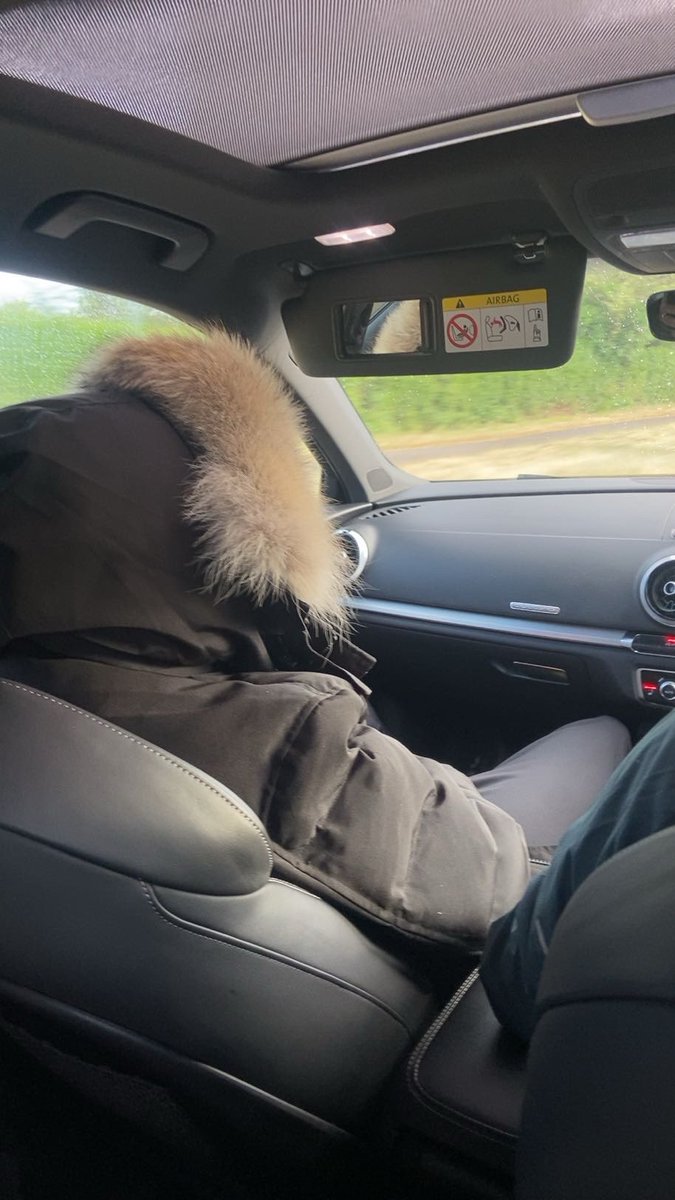 The fur master 

I know you wanna stroke the fur

Send them tributes and come feel it for yourself you F@Gs