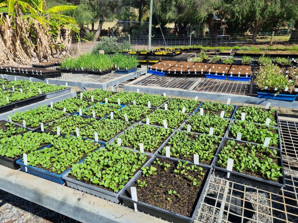 Dive into the latest AHRI insight that explores research on a resistance mechanism, with an unexpected twist! Learn more.
buff.ly/E72HGVC