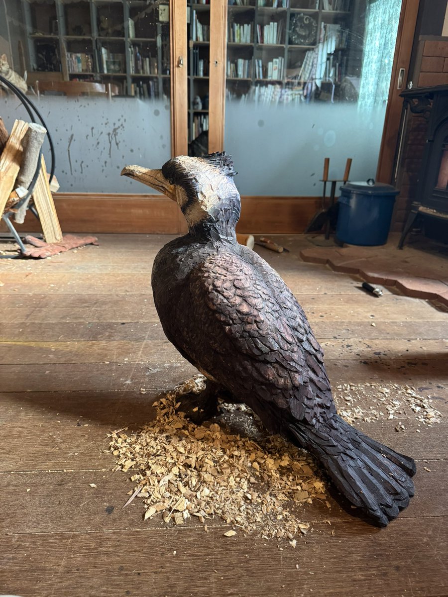 動物学の村田浩一先生と、野生動物や身近な生き物たちについて話すトークセッションを行います、自然と芸術と共生する豊岡ならではのこの企画、ぜひ。
同時開催で、木彫りの身近な生き物たちの展覧会もあります、
新作の川鵜のモヒートくんも初登場。