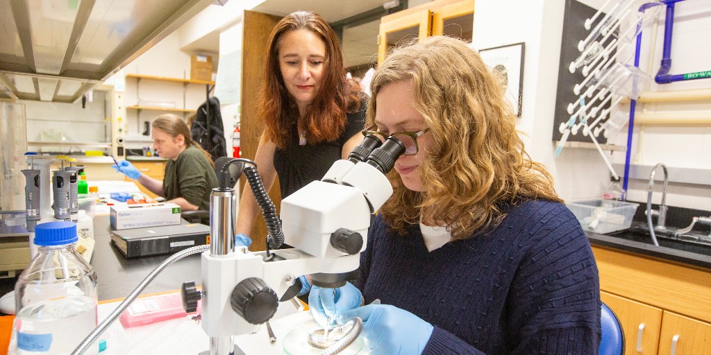 PresHendrickson's tweet image. I want to congratulate @creightonsom&apos;s Dr. Allison Coffin on her recent @NIH grant. Dr. Coffin’s work on medicine&apos;s effects on hearing not only has the potential to change lives but will provide meaningful opportunities for our students to engage in meaningful research.