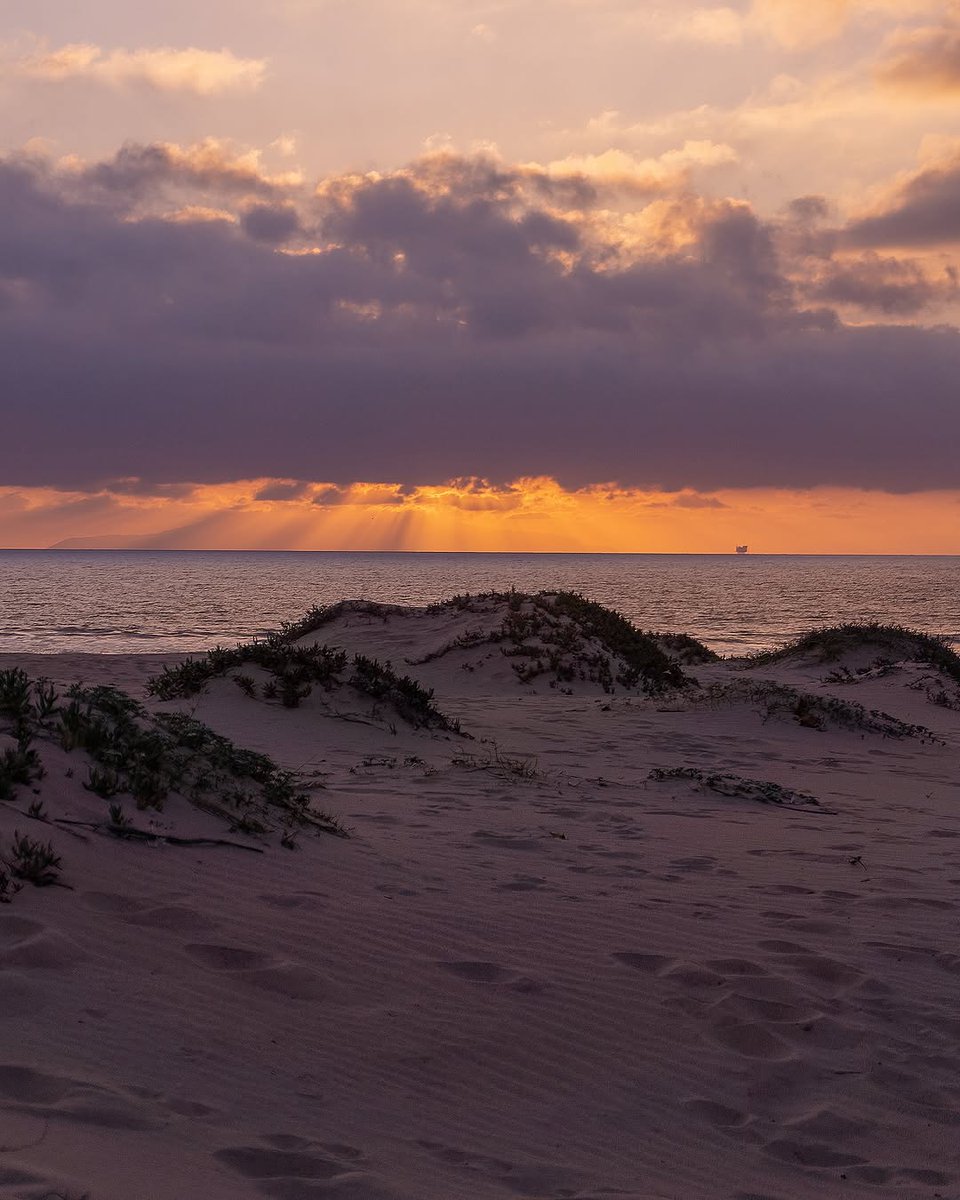 VisitOxnardCA's tweet photo. Just reminiscing about those breathtaking Oxnard sunsets from February 🍓💜🌊. Thank you, Lissette, for capturing! 😍📷 --> https://t.co/8PWj8XSIlC
📍: Oxnard, CA
📷: @conamorlisette
#VisitOxnard #VisitCa https://t.co/Ouztv4VNTQ